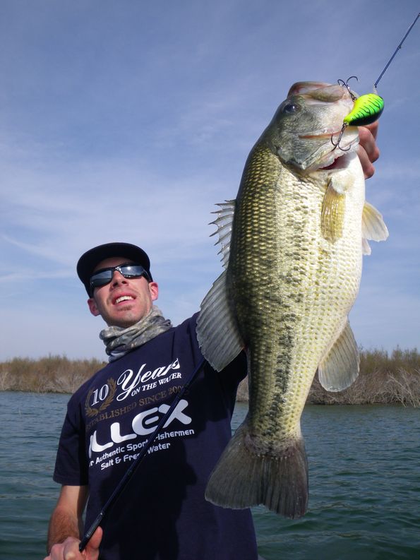 IMGP2063 - copie_1.JPG